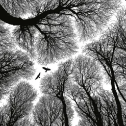 Cool Wallpapers Nature Wallpaper Wall Mural Black and White Peel And Stick Removable PVC/Vinyl Material Self Adhesive/Adhesive Required Wall Decor Wall Mural for Living Room Bedroom