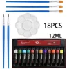 cross-border acrylic paint 18-piece set 12 ml 12-color spikes flat peak brush palette diy painting tools