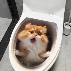 3D Cat Puppy Animal Bathroom Toilet Sticker, Home Decoration Wall Sticker, Self-adhesive Waterproof and Oil Proof Sticker