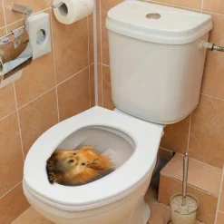 3D Three-dimensional Squirrel Toilet Lid Decal, Removable Self Adhesive Wall Sticker, Creative Toilet Cover Decorative Sticker, Bathroom Decor asethetic room decor, home decor