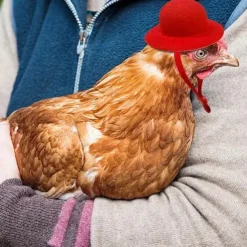 Durable Polyester Fiber Fun Chicken Hat with Drawstring Closure for Poultry Protection, Suitable for Various Chicken Breeds
