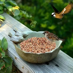 Flower Shaped Bird Feeder Bowl, Creative Resin Bird Bathtub, Garden Resin Ornaments, Bird Seed Feeding Bowl And Water Station, Ornaments Decoration For Indoor Desktop Outdoor Lawn Yard Garden