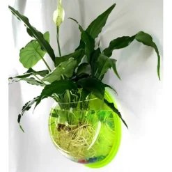 Free Punching Hydroponics Planter, Home Decoration Pot Wall Hanging Mount Bubble Aquarium Bowl Fish Tank Aquarium Home Minipot (Without Plant) Wedding Decoration