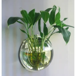 Free Punching Hydroponics Planter, Home Decoration Pot Wall Hanging Mount Bubble Aquarium Bowl Fish Tank Aquarium Home Minipot (Without Plant) Wedding Decoration