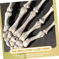 Full Size Skeleton Plastic Skeleton for Halloween Party Scary Halloween Decorations