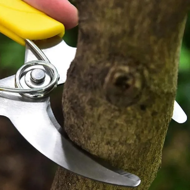 Gardening Fruit Tree Girdling Knife, Girdling Shears, Seedling Grape Girdling Knife, Bark Cutter, Garden Orchard Citrus Girdling Shears