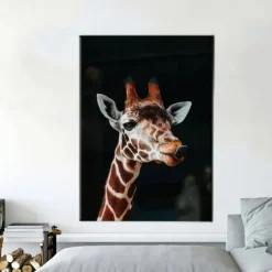 Giraffe Graffiti Wall Art Canvas Paintings on the Wall Art Posters and Prints Animals Modern Pictures For Kids Room Decor