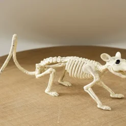 Halloween Animal Skeleton Yard Decorations Perfect for Indoor/Outdoor Use