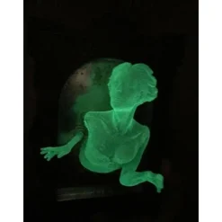Halloween Ghost in The Mirror, Glow in The Dark 3D Resin Ghost Frame, Creative Fluorescent Mirror Sculpture for Bedroom and Corridor Decor