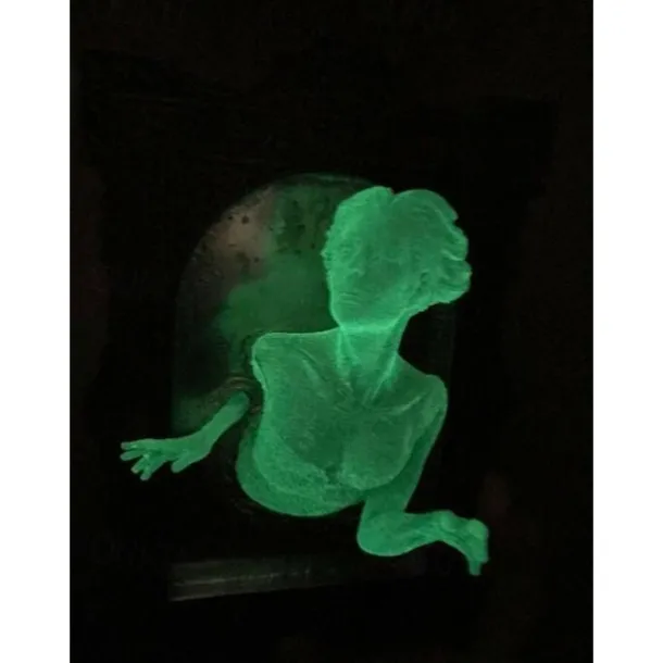 Halloween Ghost in The Mirror, Glow in The Dark 3D Resin Ghost Frame, Creative Fluorescent Mirror Sculpture for Bedroom and Corridor Decor