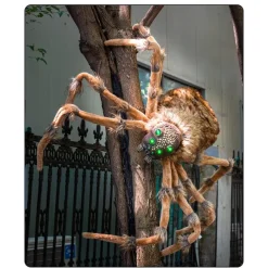 Halloween Large Spider Props Haunted House Escape Room Bar Venue Decoration Props 2-Meter Spider