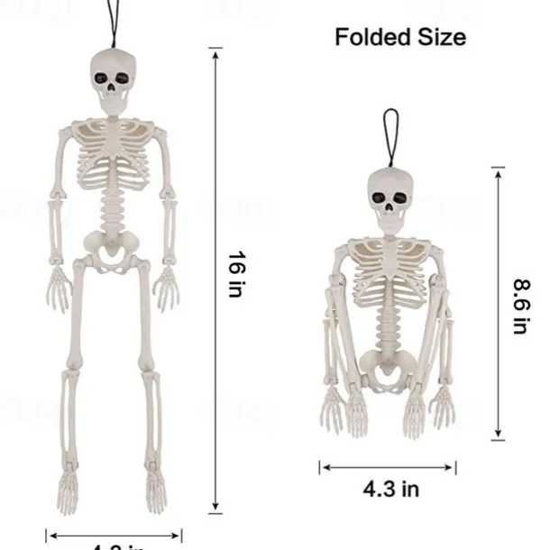 Halloween Skeletons | Full Body Posable Joints Skeletons for Halloween Decoration, Graveyard Decorations, Haunted House Accessories