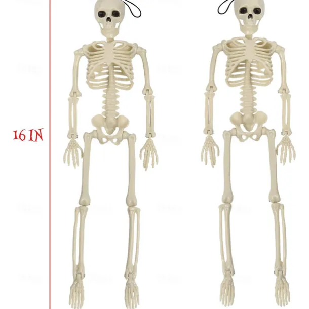 Halloween Skeletons, Full Body Posable Joints Skeletons for Halloween Decoration Bride Groom Halloween Party Favors Haunted House Accessories Indoor Outdoor Spooky Scene Decoration