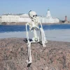 Halloween Skeletons, Halloween Decorations Skull, Full Body Realistic Faux Human Skeleton, Halloween Decor for Haunted House Props