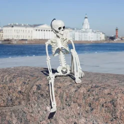 Halloween Skeletons, Halloween Decorations Skull, Full Body Realistic Faux Human Skeleton, Halloween Decor for Haunted House Props