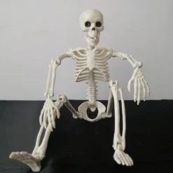 Halloween Skeletons, Halloween Decorations Skull, Full Body Realistic Faux Human Skeleton, Halloween Decor for Haunted House Props