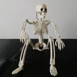 Halloween Skeletons, Halloween Decorations Skull, Full Body Realistic Faux Human Skeleton, Halloween Decor for Haunted House Props
