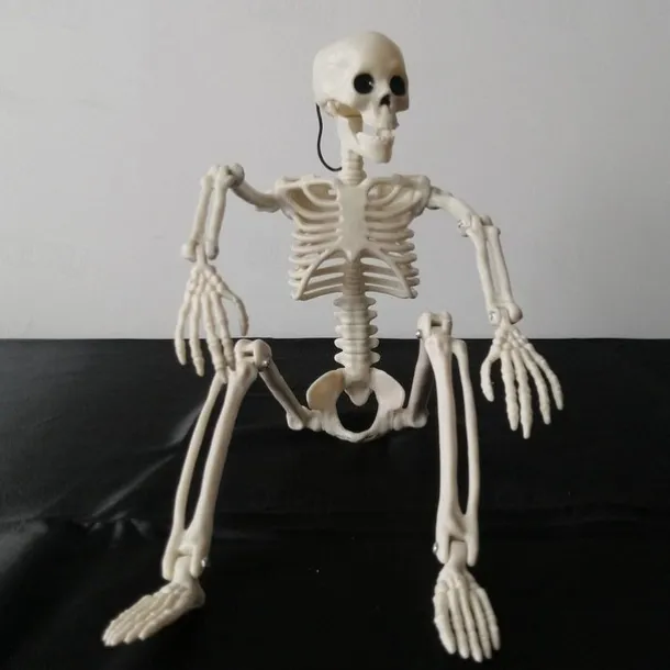Halloween Skeletons, Halloween Decorations Skull, Full Body Realistic Faux Human Skeleton, Halloween Decor for Haunted House Props