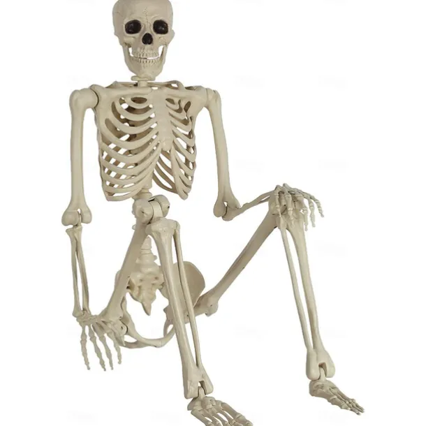 Halloween Skeletons, Halloween Decorations Skull, Full Body Realistic Faux Human Skeleton, Halloween Decor for Haunted House Props
