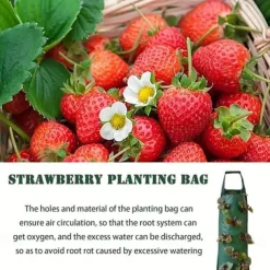 Hanging Strawberry Grow Bag, Strawberry Grow Bag With 8 Holes For Strawberry Tomato And Pepper Upside Down Tomato Grow Bag, Vegetable Grow Bag, Gardening Supplies