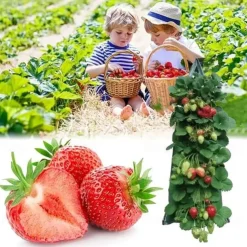 Hanging Strawberry Grow Bag, Strawberry Grow Bag With 8 Holes For Strawberry Tomato And Pepper Upside Down Tomato Grow Bag, Vegetable Grow Bag, Gardening Supplies