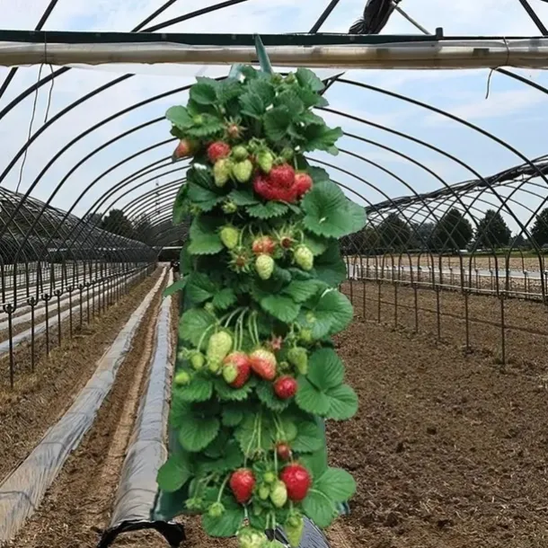 Hanging Strawberry Grow Bag, Strawberry Grow Bag With 8 Holes For Strawberry Tomato And Pepper Upside Down Tomato Grow Bag, Vegetable Grow Bag, Gardening Supplies