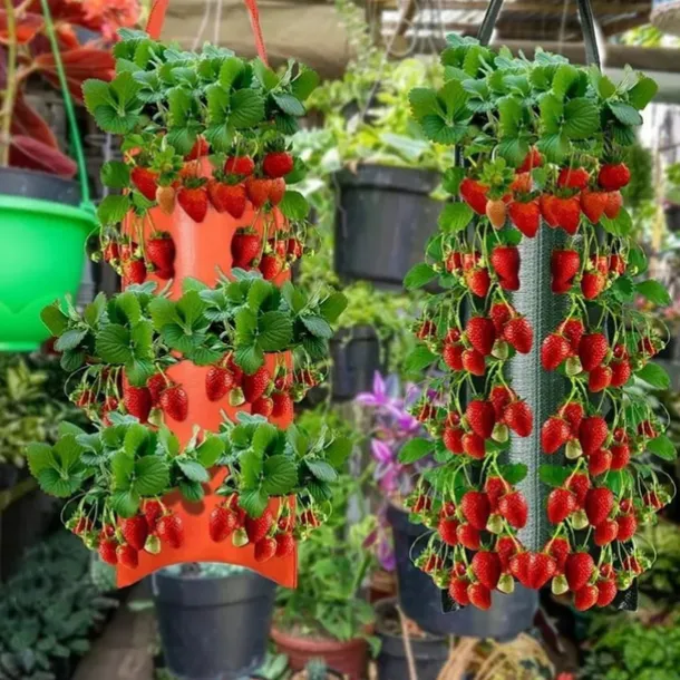 Hanging Strawberry Grow Bag, Strawberry Grow Bag With 8 Holes For Strawberry Tomato And Pepper Upside Down Tomato Grow Bag, Vegetable Grow Bag, Gardening Supplies