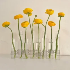 Hinged Flower Vase,Foldable Flower Vase Set, Foldable Flower Vase with Hinged Design, Shape Changeable DIY Crystal Glass Test Tube with 6/8 Test Tubes and S-Shaped Hooks