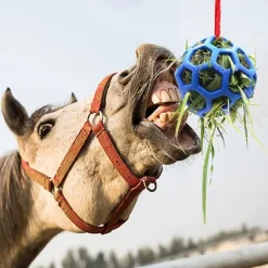 Horse Feeding Toy Ball Hanging Horse Toy Stable Feeding Ball, Stretch Resistant TPR Hay Feeder Toy Ball