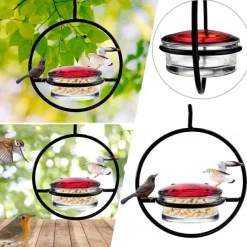 Hummble Slim Hummingbird Feeder Circular Hanging Hummingbird Feeder, Glass Bottle Humming Bird Feeder with Circular Metal Frame and Perch, Outdoor Hanging Humming Bird Feeder