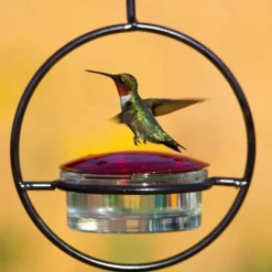 Hummble Slim Hummingbird Feeder Circular Hanging Hummingbird Feeder, Glass Bottle Humming Bird Feeder with Circular Metal Frame and Perch, Outdoor Hanging Humming Bird Feeder