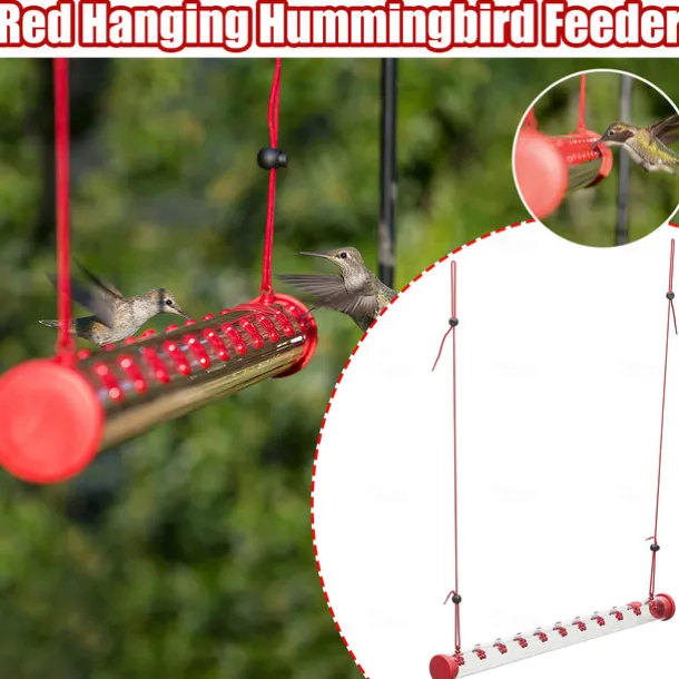 Hummingbird Feeder with Hole Garden Birds Feeding Pipe Transparent Tube 60cm