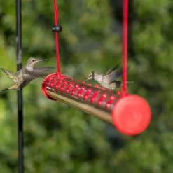 Hummingbird Feeder with Hole Garden Birds Feeding Pipe Transparent Tube 60cm