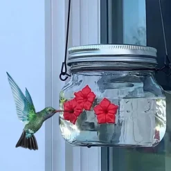 Hummingbird Feeders for Outdoors Portable Applies to All Birds, Bottle Hanging Humming Bird Feeder Outside, Leak-Proof Easy to Clean and Fill, with 3 Feeding Port