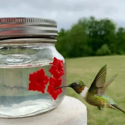 Hummingbird Feeders for Outdoors Portable Applies to All Birds, Bottle Hanging Humming Bird Feeder Outside, Leak-Proof Easy to Clean and Fill, with 3 Feeding Port