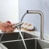 Kitchen faucet - Single Handle One Hole Stainless Steel Pull-out /Pull-down Other Contemporary Kitchen Taps cold or hot water only