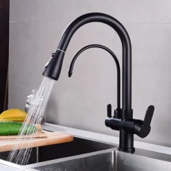 Kitchen faucet - Two Handles One Hole Electroplated / Painted Finishes Pull-out / Pull-down / Tall / High Arc / Purified water Centerset Modern Contemporary Kitchen Taps