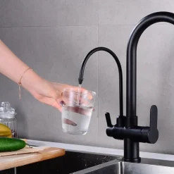 Kitchen faucet - Two Handles One Hole Electroplated / Painted Finishes Pull-out / Pull-down / Tall / High Arc / Purified water Centerset Modern Contemporary Kitchen Taps