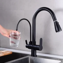 Kitchen faucet - Two Handles One Hole Electroplated / Painted Finishes Pull-out / Pull-down / Tall / High Arc / Purified water Centerset Modern Contemporary Kitchen Taps