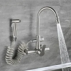 Kitchen Faucet with Bidet Single Handle Two Holes Stainless Steel Standard Spout Wall Mounted Modern Contemporary Kitchen Taps