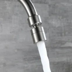 Kitchen Faucet with Bidet Single Handle Two Holes Stainless Steel Standard Spout Wall Mounted Modern Contemporary Kitchen Taps