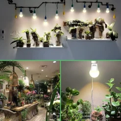 LED Grow Light Bulbs A19 Bulb Full Spectrum for Indoor Plant E26 Base 12W/15W Grow Bulb 100W Equivalent Grow Light for Indoor Plants Seed Starting 2Pack