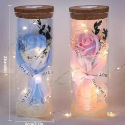 LED Lights, Dry Flowers, Valentine's Day Gifts, Birthday Gifts, Glass Covers, Eternal Flowers, Rose Bouquets, Perfect Gifts for Mother's Day and Thanksgiving Holidays
