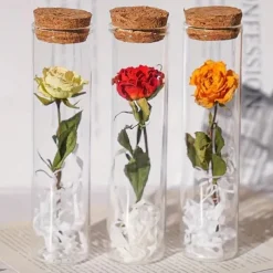 LED Lights, Dry Flowers, Valentine's Day Gifts, Birthday Gifts, Glass Covers, Eternal Flowers, Rose Bouquets, Perfect Gifts for Mother's Day and Thanksgiving Holidays