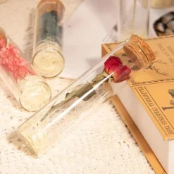 LED Lights, Dry Flowers, Valentine's Day Gifts, Birthday Gifts, Glass Covers, Eternal Flowers, Rose Bouquets, Perfect Gifts for Mother's Day and Thanksgiving Holidays