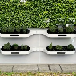 Maximize Your Bathroom Storage with This Wall-Mounted Plastic Shelf Rack