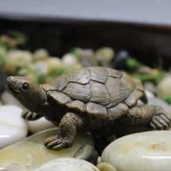 Mini Turtles Miniature Figurines Simulation Small Tortoise Ornament Realistic Sea Turtles Resin Cute Beach Sea Turtles For Bonsai Craft Fairy Garden Succulent Planter Decoration