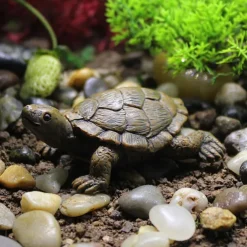 Mini Turtles Miniature Figurines Simulation Small Tortoise Ornament Realistic Sea Turtles Resin Cute Beach Sea Turtles For Bonsai Craft Fairy Garden Succulent Planter Decoration