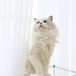 Mosquito Net Camp Mosquito Net with Carry Bag, Large Netting Curtains Camping, Bedding, Patio Carrying Pouch and Hanging Kit