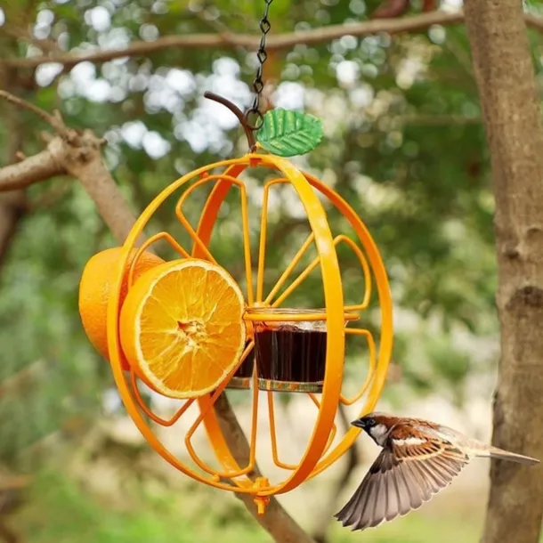 Oriole Bird Feeder for Outdoors Jelly and Oranges, Orange Fruit Oriole Jelly Bird Feeder, Outdoor Garden Metal Hanging Drinking Grape Jelly Container Hummingbird Feeder